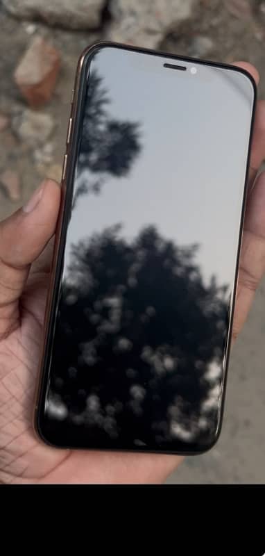 iPhone XS 256gb Non Pta 0