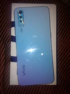 vivo