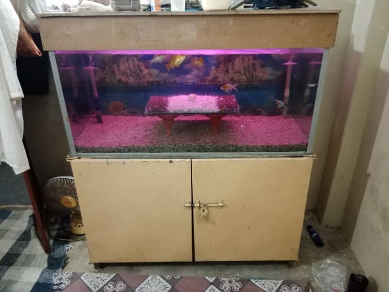 fish aquarium sell fish or baqi sab saman k sath sell hab 1