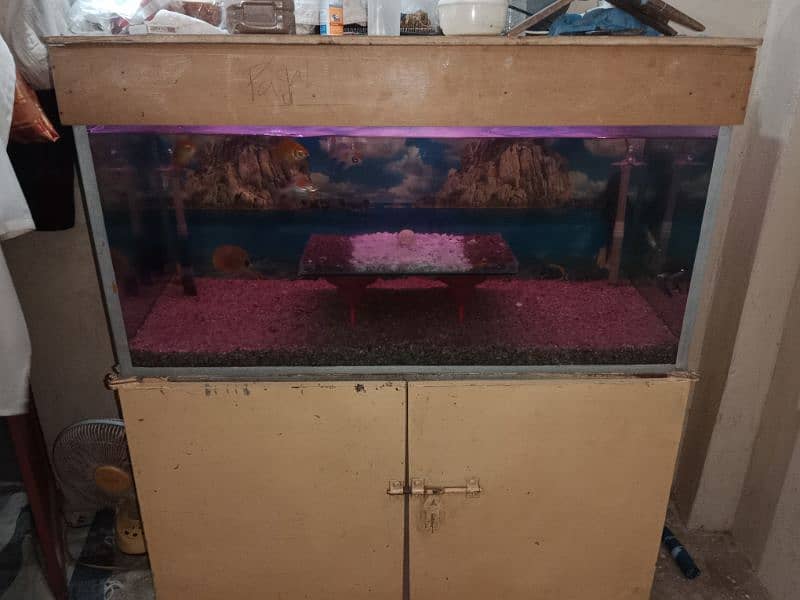 fish aquarium sell fish or baqi sab saman k sath sell hab 3