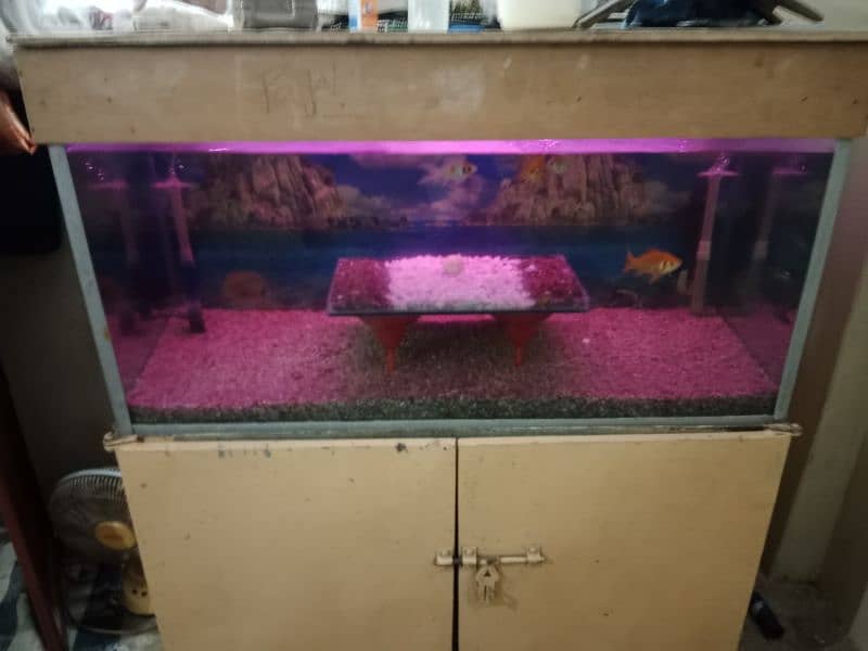 fish aquarium sell fish or baqi sab saman k sath sell hab 4