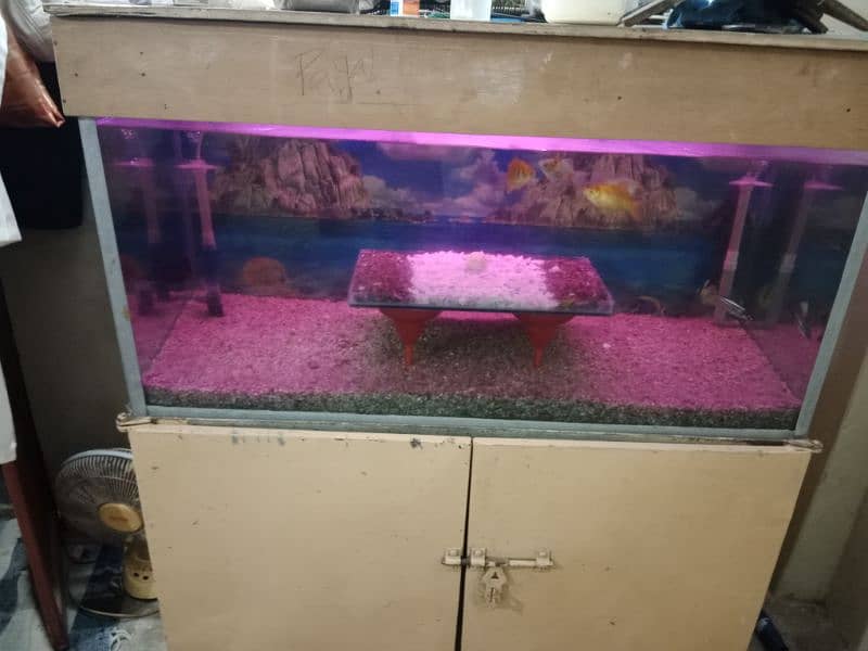 fish aquarium sell fish or baqi sab saman k sath sell hab 6