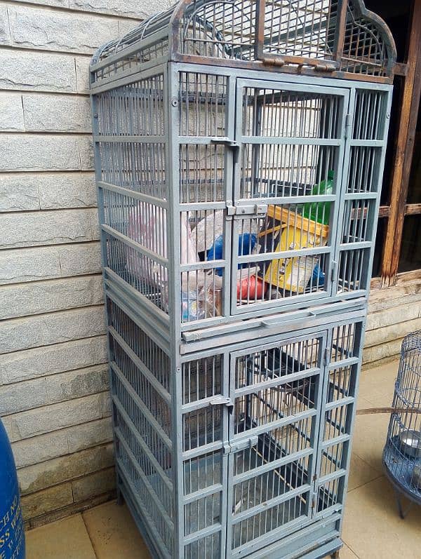 parrots cage 4