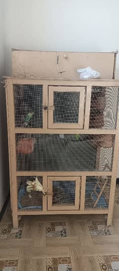 cage for sale with breeder pairs of budgies