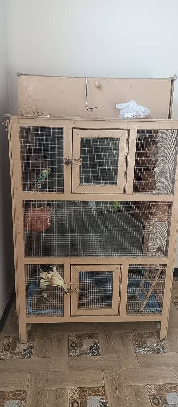 cage for sale with breeder pairs of budgies 0