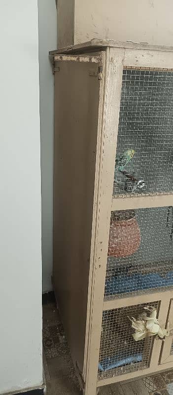 cage for sale with breeder pairs of budgies 1