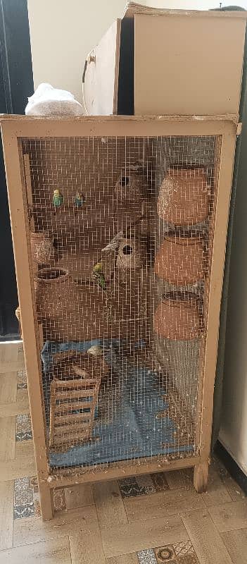 cage for sale with breeder pairs of budgies 2