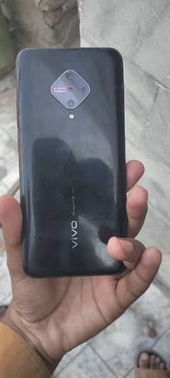 vivo