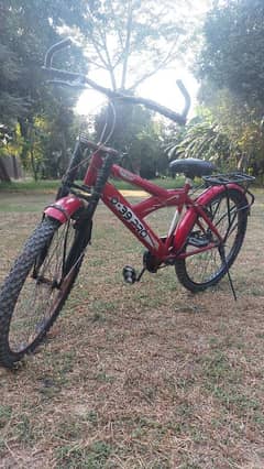 RED HOT STEAL! 0-39 Pro Cycle - Well-Maintained, 8/10 Condition
                                title=