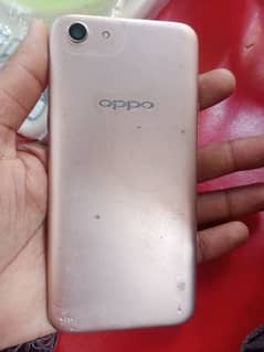 oppo