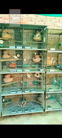 cages for sale