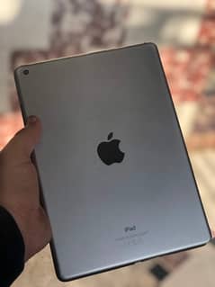 iPad