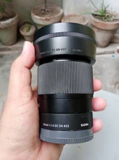 sigma 30 mm 1.4 lens