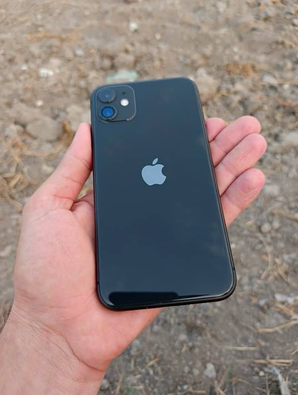 iphone 11 shade 0