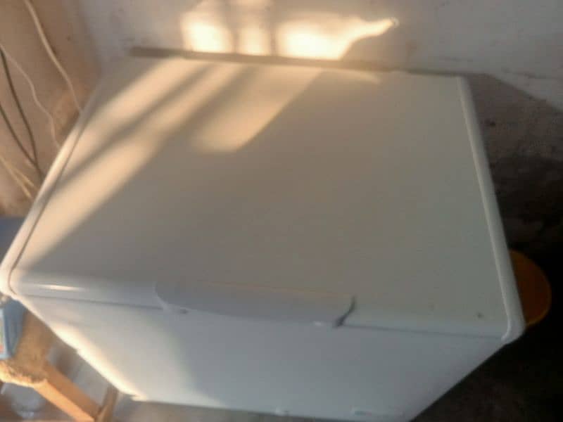 Haier Single door Freezer 1