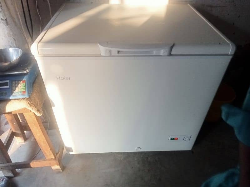 Haier Single door Freezer 2