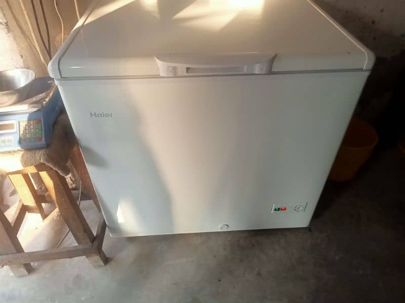 Haier Single door Freezer 3