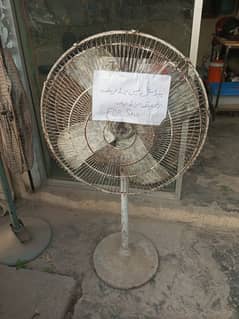 pedestal fan for sale