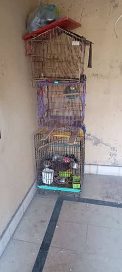 cages for sale