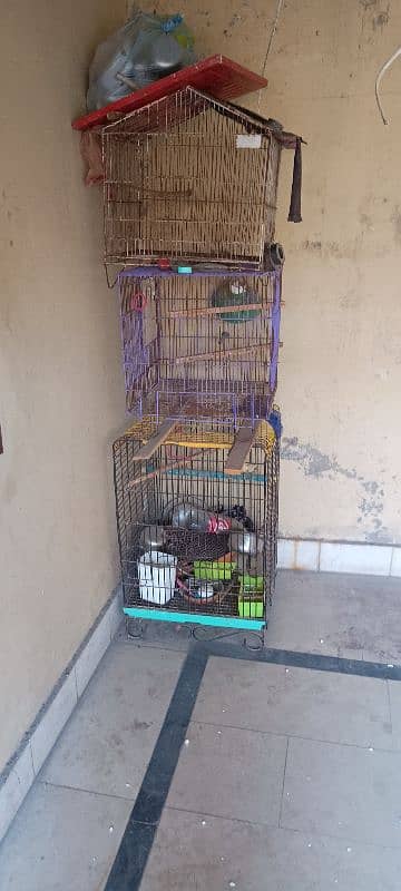 cages for sale 0