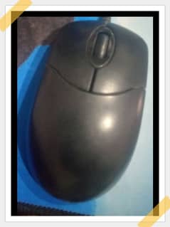 Mouse Black color