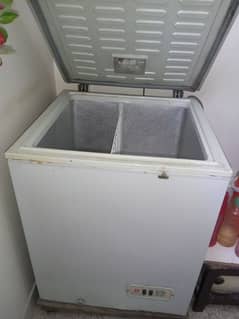 Dawlence single deep freezer