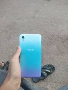 VIVO