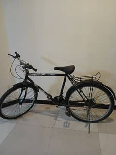 Phoenix bicycle