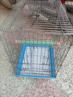 raw parrot cage