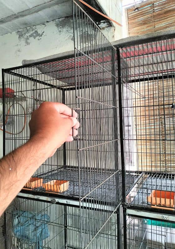 6 portion Bird cage for sale love bird,ring neck,pigeons etc (pinjra). 3