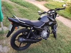 Yamaha YBR 125 0323-3360665