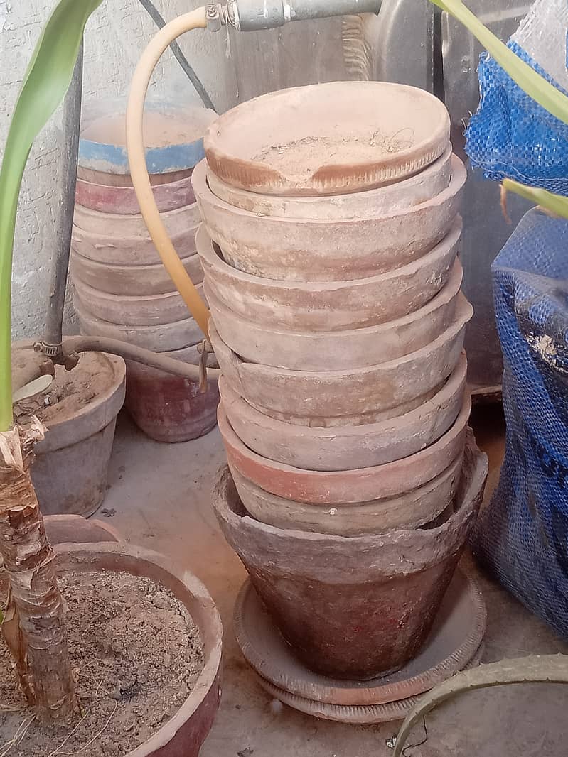 Soil pots 2