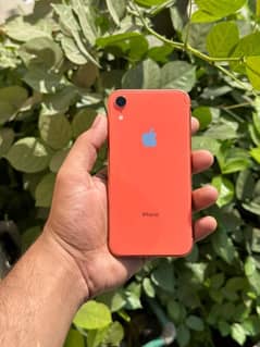 I phone xr non pta 0