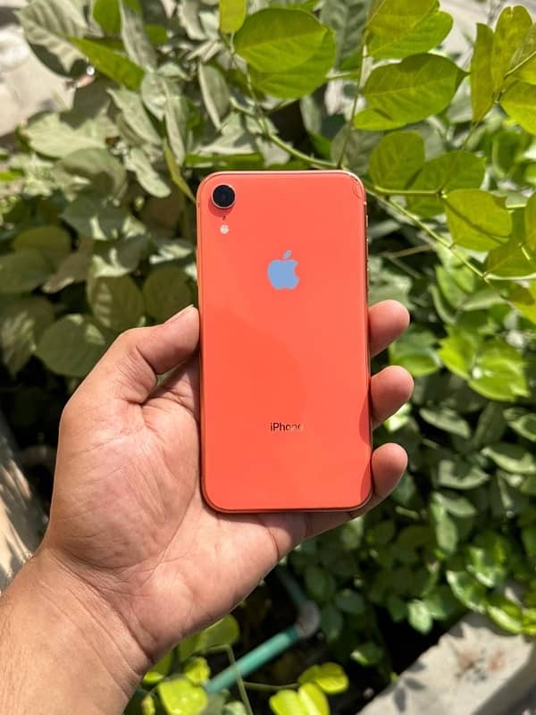 I phone xr non pta 4