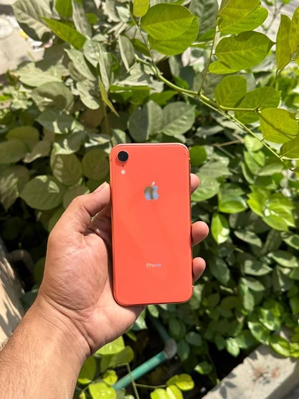 I phone xr non pta 5