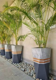 BEAUTIFUL CONCRETE POTS AND PLANTER