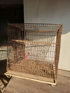 used cage 0