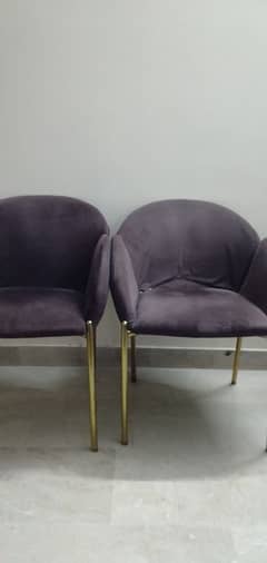 chairs for sell