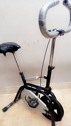 Exercise Cycle 2 in 1