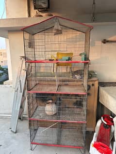 cage for brids and hens