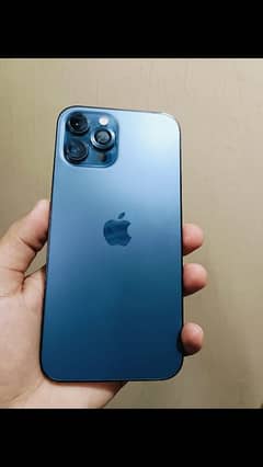 iPhone 12 pro max