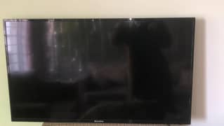 Eco star 40 inch LED for sale