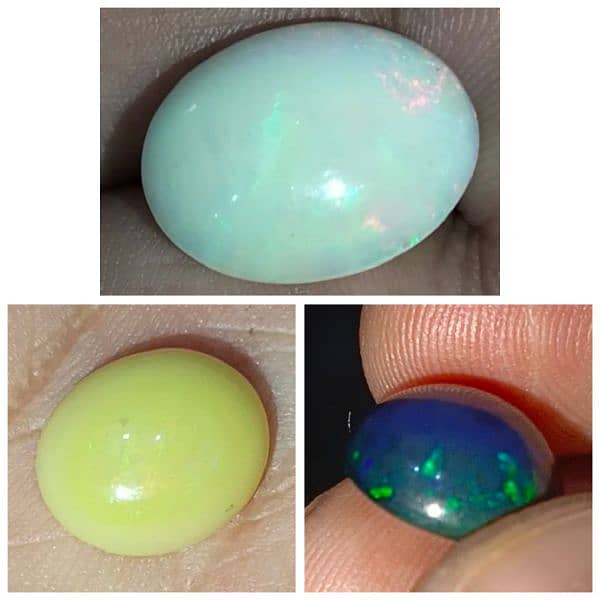 Opal Marjan Fossil Coral Stone Original Australian 0