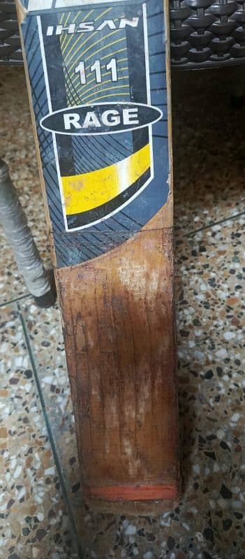 cricket bat 2