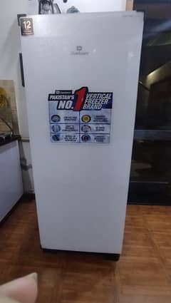 Vertical Freezer| Refrigerator| Fridge 0