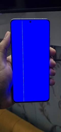 Samsung s21 ultra only lcd