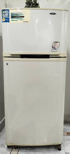 Goldstar (LG) Big Full size No Frost refrigerator