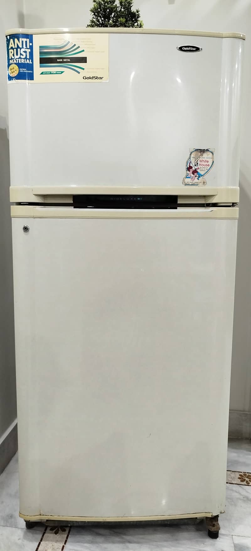 Goldstar (LG) Big Full size No Frost refrigerator 0