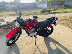 Yamaha ybrG 2022 scratchless condition 0333 5496082