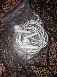 Earphones